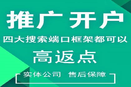 顶级SEM运营公司案例分析